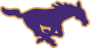 Team Logo