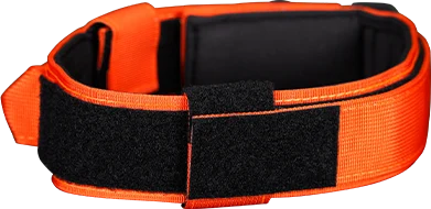 Premium Dog Collar - Orange Burst back view