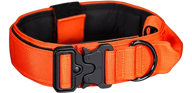 Premium Dog Collar - Orange Burst front view