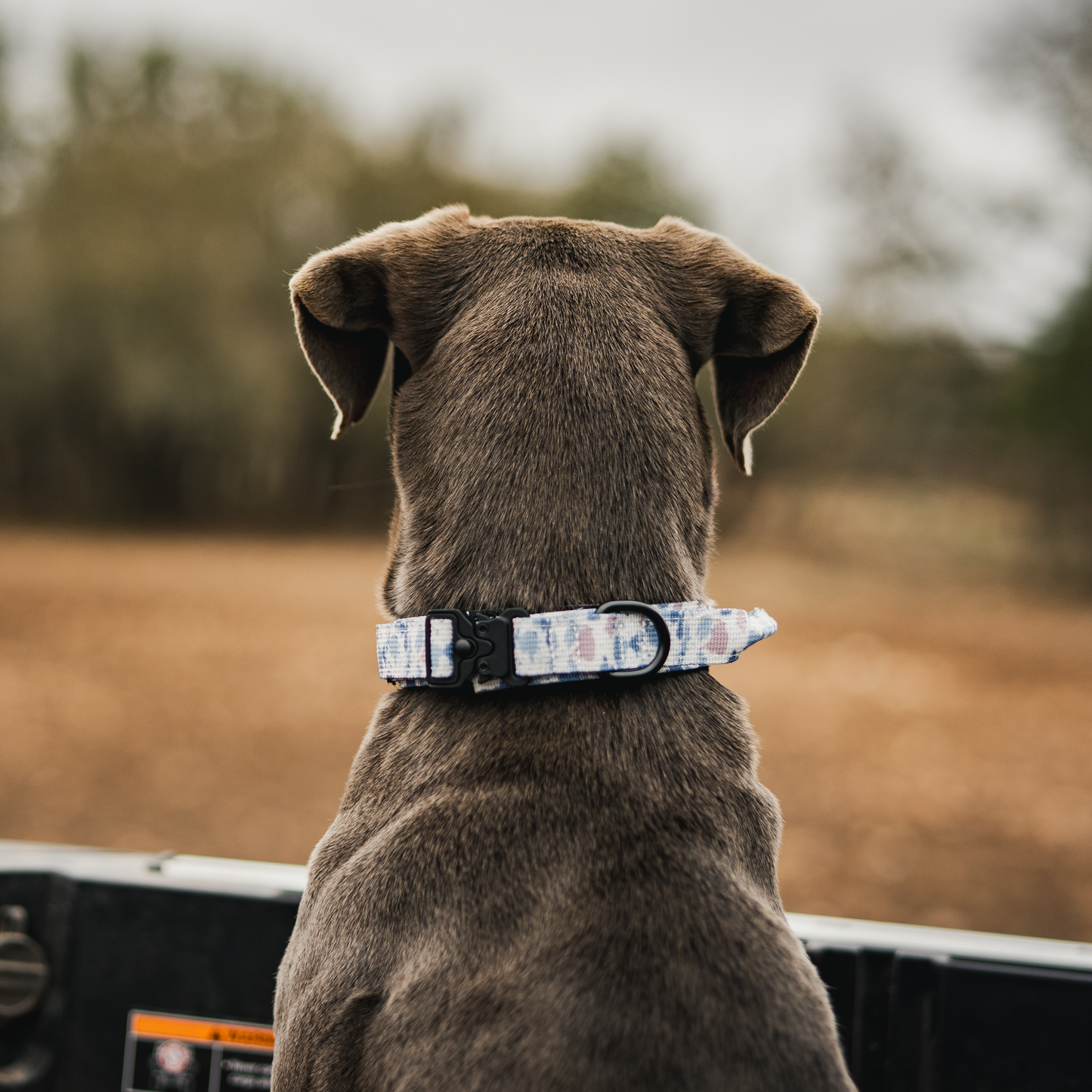 Premium Dog Collar - Arctic Camo