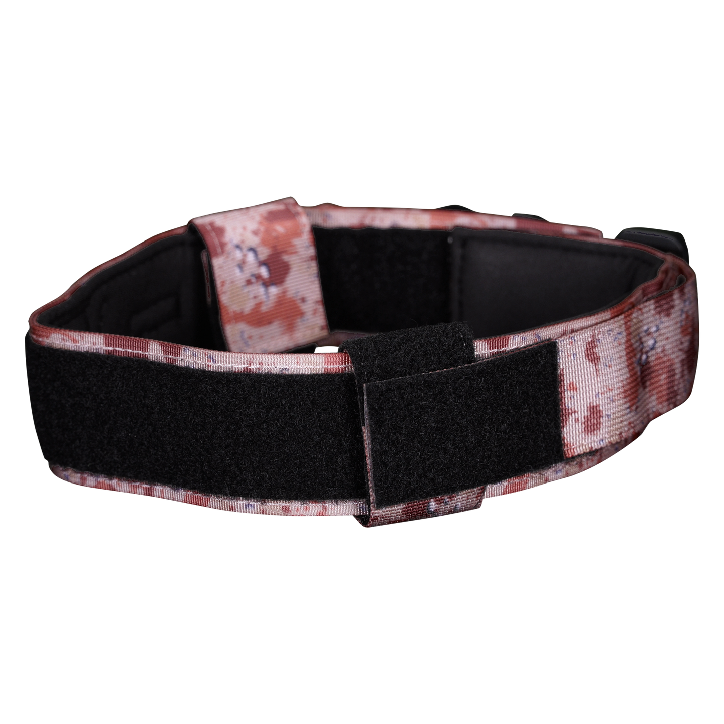WS900 Premium Dog Collar
