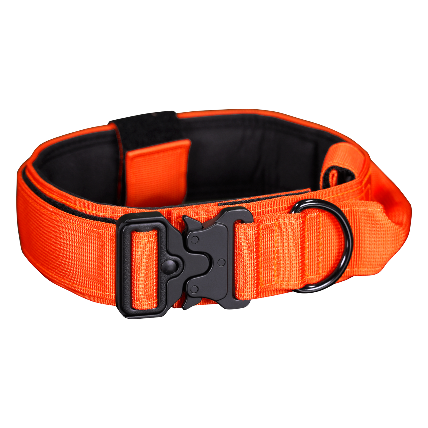 WS900 Premium Dog Collar