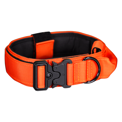 Premium Dog Collar - Orange Burst