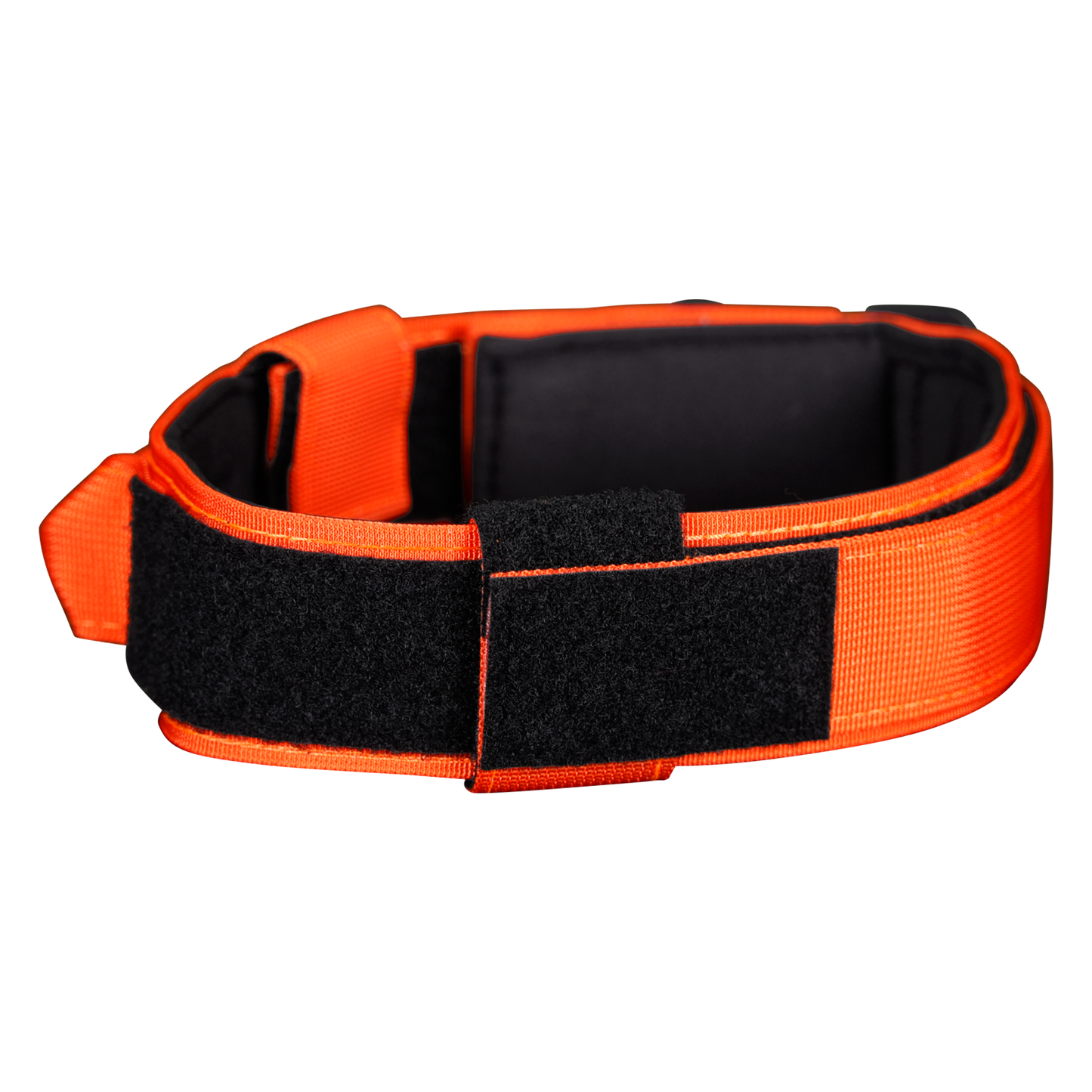 WS900 Premium Dog Collar