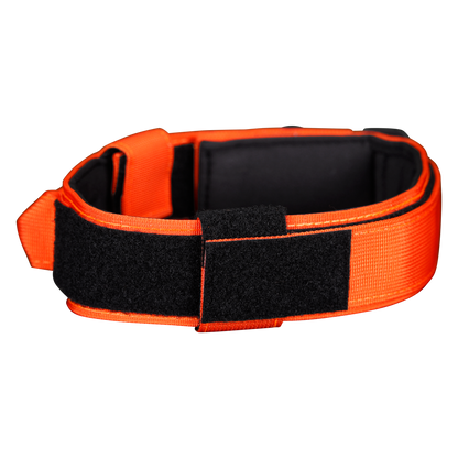 Premium Dog Collar - Orange Burst