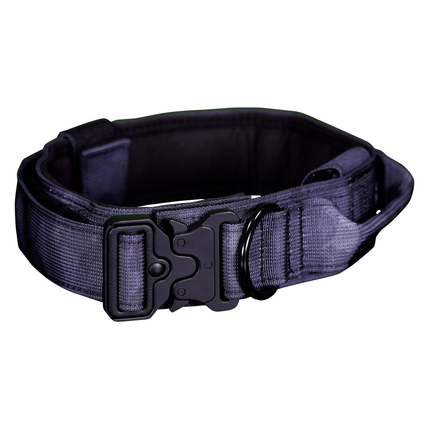 WS900 Premium Dog Collar