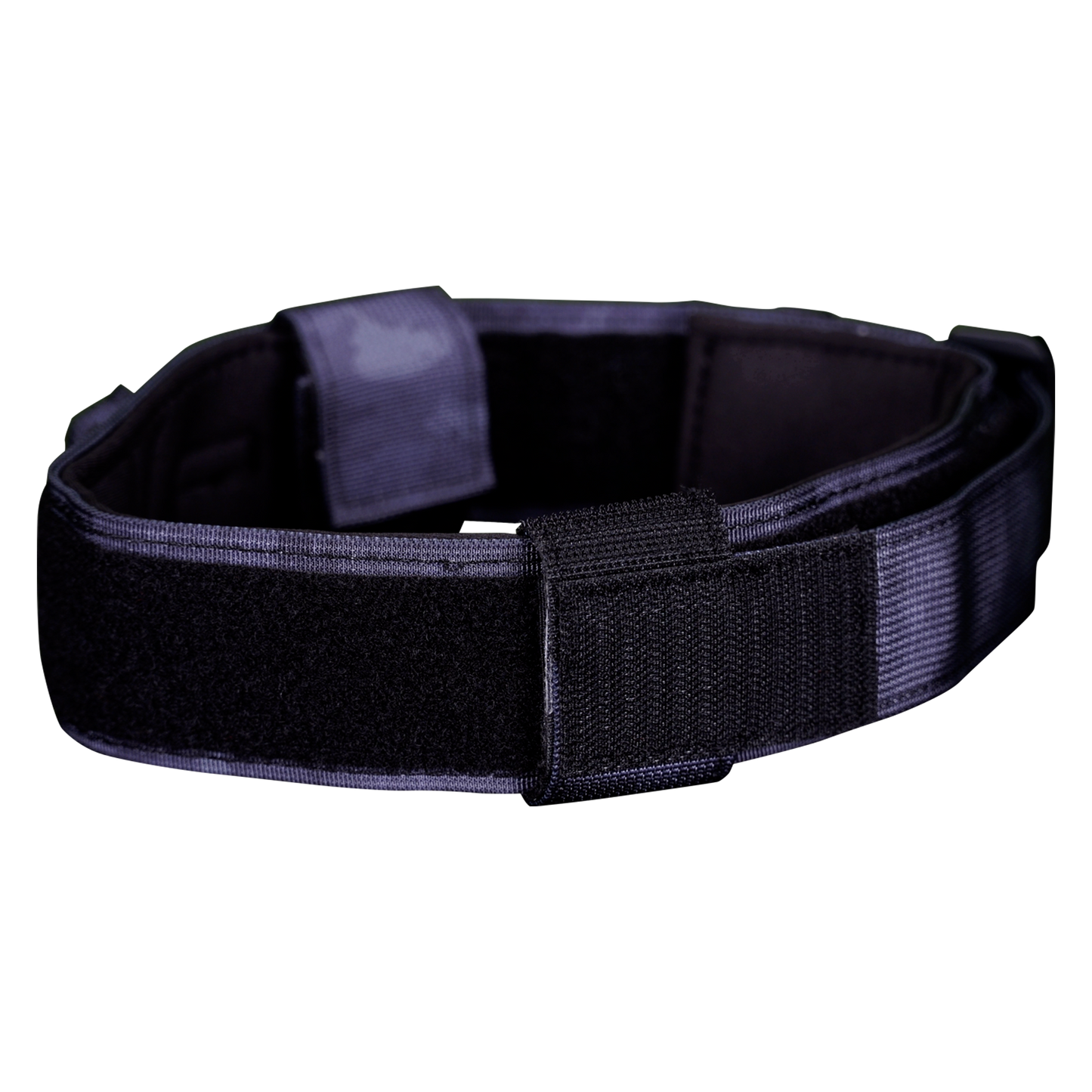WS900 Premium Dog Collar